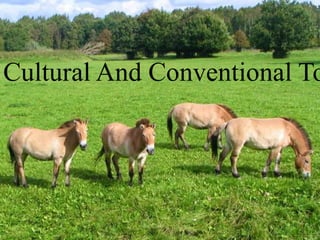 Cultural And Conventional
Tour
Cultural And Conventional To
 