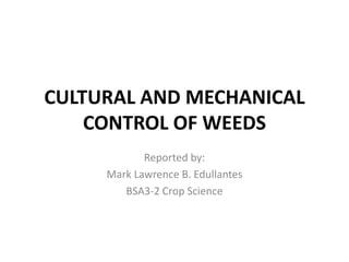 CULTURAL AND MECHANICAL
CONTROL OF WEEDS
Reported by:
Mark Lawrence B. Edullantes
BSA3-2 Crop Science
 
