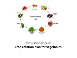 Cultural and Mechanical Control of Weeds | PPTX