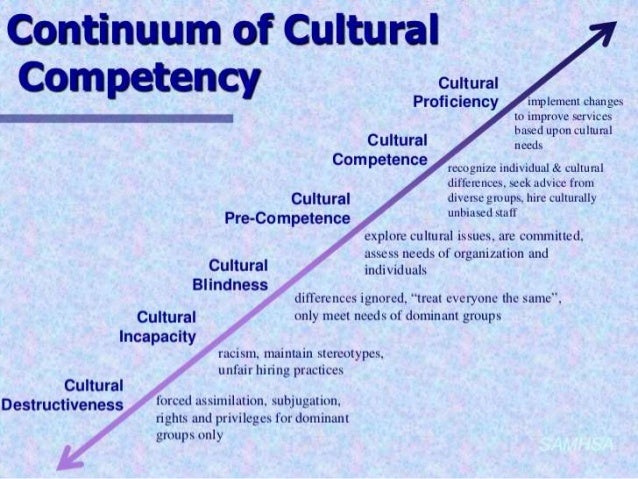 cultural competence continuum
