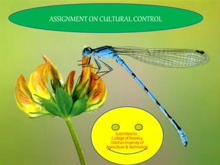 Submitted to :
College of forestry,
Odisha University of
Agriculture & Technology
ASSIGNMENT ON CULTURAL CONTROL
 