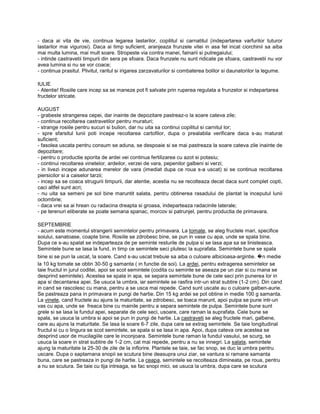Cultura legumelor in solarii | PDF