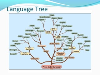 Globalisation Tree Cultural Globalization | PPT