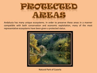 Protected areasAndalusia has many unique ecosystems. In order to preserve these areas in a manner compatible with both conservation and economic exploitation, many of the most representative ecosystems have been given a protected status.Natural Park of Cazorla