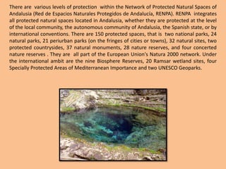 There are  various levels of protection  within the Network of Protected Natural Spaces of Andalusia (Red de EspaciosNaturalesProtegidos de Andalucía, RENPA). RENPA  integrates all protected natural spaces located in Andalusia, whether they are protected at the level of the local community, the autonomous community of Andalusia, the Spanish state, or by international conventions. There are 150 protected spaces, that is  two national parks, 24 natural parks, 21 periurban parks (on the fringes of cities or towns), 32 natural sites, two protected countrysides, 37 natural monuments, 28 nature reserves, and four concerted nature reserves . They are  all part of the European Union's Natura 2000 network. Under the international ambit are the nine Biosphere Reserves, 20 Ramsar wetland sites, four Specially Protected Areas of Mediterranean Importance and two UNESCO Geoparks.
