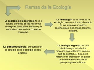 La ecología de la recreación: es el
estudio científico de las relaciones
ecológicas entre el ser humano y la
naturaleza dentro de un contexto
recreativo.
La limnología: es la rama de la
ecología que se centra en el estudio
de los sistemas acuáticos
continentales: ríos, lagos, lagunas,
etcétera.
La ecología regional :es una
disciplina que estudia los
procesos eco sistémicos como el
flujo de energía, el ciclo de la
materia o la producción de gases
de invernadero a escala de
paisaje regional o bioma.
La dendroecología: se centra en
el estudio de la ecología de los
árboles.
 