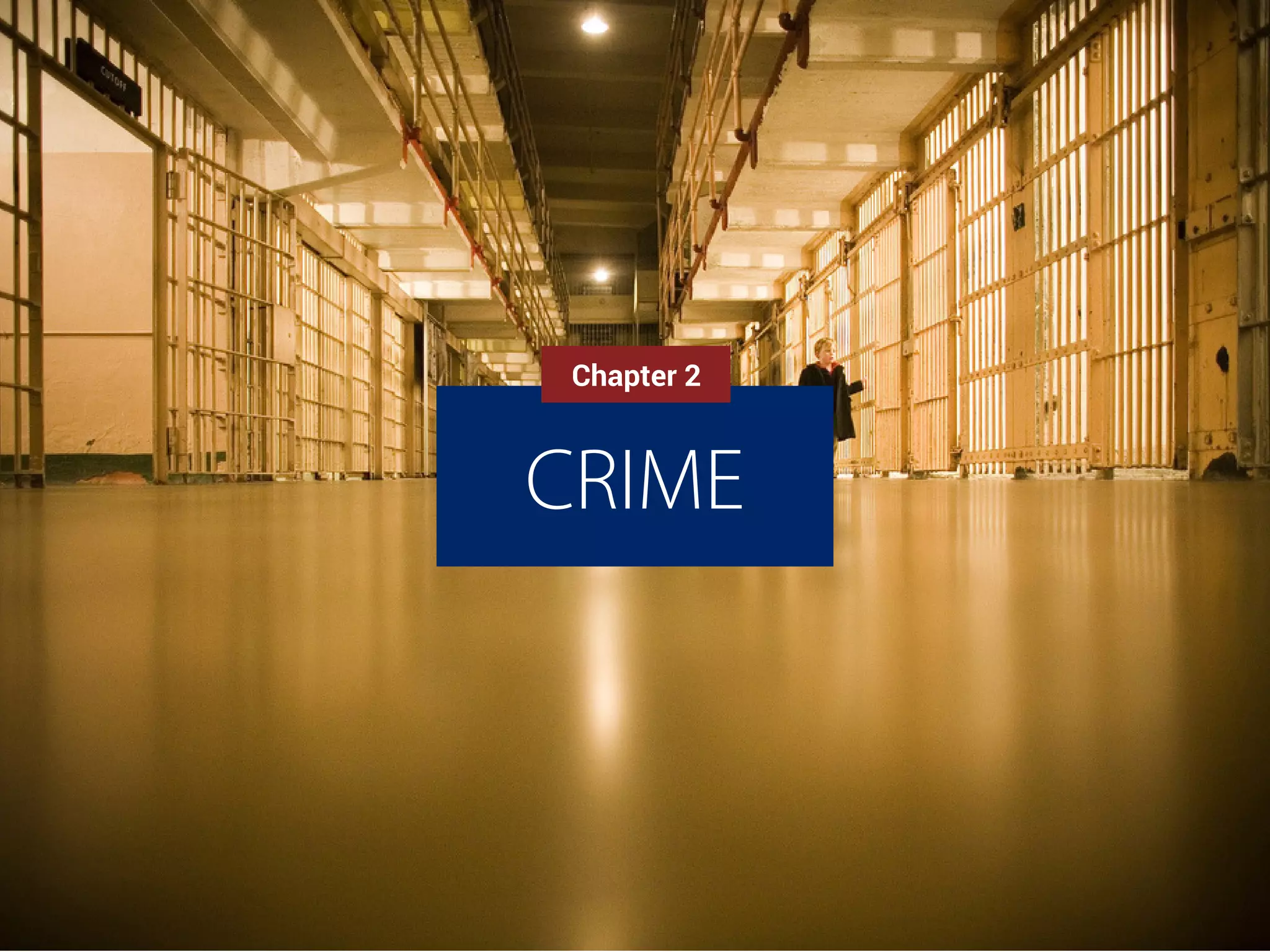 Chapter 2 
CRIME 
 
