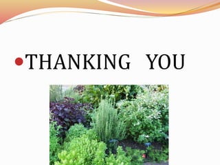 THANKING YOU