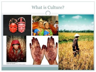 What is Culture?
 