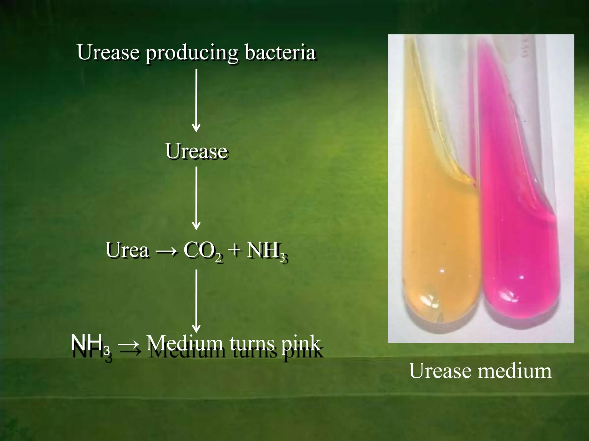 culturalmediamethods-131228081632-phpapp01 [Autosaved].pptx