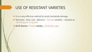 USE OF RESISTANT VARIETIES
 It is a very effective method to avoid nematode damage.
 Nemared , Hisar Lalit , Atkinson – Tomato varieties – resistant to
Meloidogyne incognitia
 Kurfi Swarna – Potato variety – Globodera spp.
 