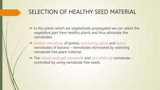 SELECTION OF HEALTHY SEED MATERIAL
 In the plants which are vegetatively propagated we can select the
vegetative part from healthy plants and thus eliminate the
nematodes.
 Golden nematode of potato, burrowing, spiral and lesion
nematodes of banana – nematodes eliminated by selecting
nematode free plant material.
 The wheat seed gall nematode and rice white tip nematode –
controlled by using nematode free seeds.
 