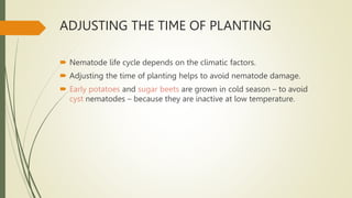 ADJUSTING THE TIME OF PLANTING
 Nematode life cycle depends on the climatic factors.
 Adjusting the time of planting helps to avoid nematode damage.
 Early potatoes and sugar beets are grown in cold season – to avoid
cyst nematodes – because they are inactive at low temperature.
 
