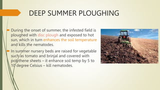 DEEP SUMMER PLOUGHING
 During the onset of summer, the infested field is
ploughed with disc plough and exposed to hot
sun, which in turn enhances the soil temperature
and kills the nematodes.
 In summer nursery beds are raised for vegetable
such as tomato and brinjal and covered with
polythene sheets – it enhance soil temp by 5 to
10 degree Celsius – kill nematodes.
 
