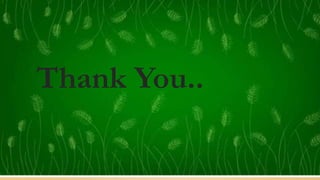 Thank
You...
Thank You..
 