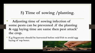 5) Time of sowing /planting.
• Adjusting time of sowing infection of
some pests can be prevented .if the planting
& egg laying time are same then pest attack’
the crop.
• E.g Sugarcane should be harvested before mid Feb to avoid egg
laying of top borer.
 