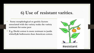 6) Use of resistant varities.
• Some morphological or genitic factors
associated with the variety make the variety
resistant for some pest
• E.g. Deshi cotton is more resistant to jasids
whitefly& bollowarm than American cotton.
 