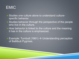Emic Viewpoint Example Culture Powerpoint | PPTX