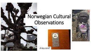 Norwegian Cultural
Observations
A key card?
 