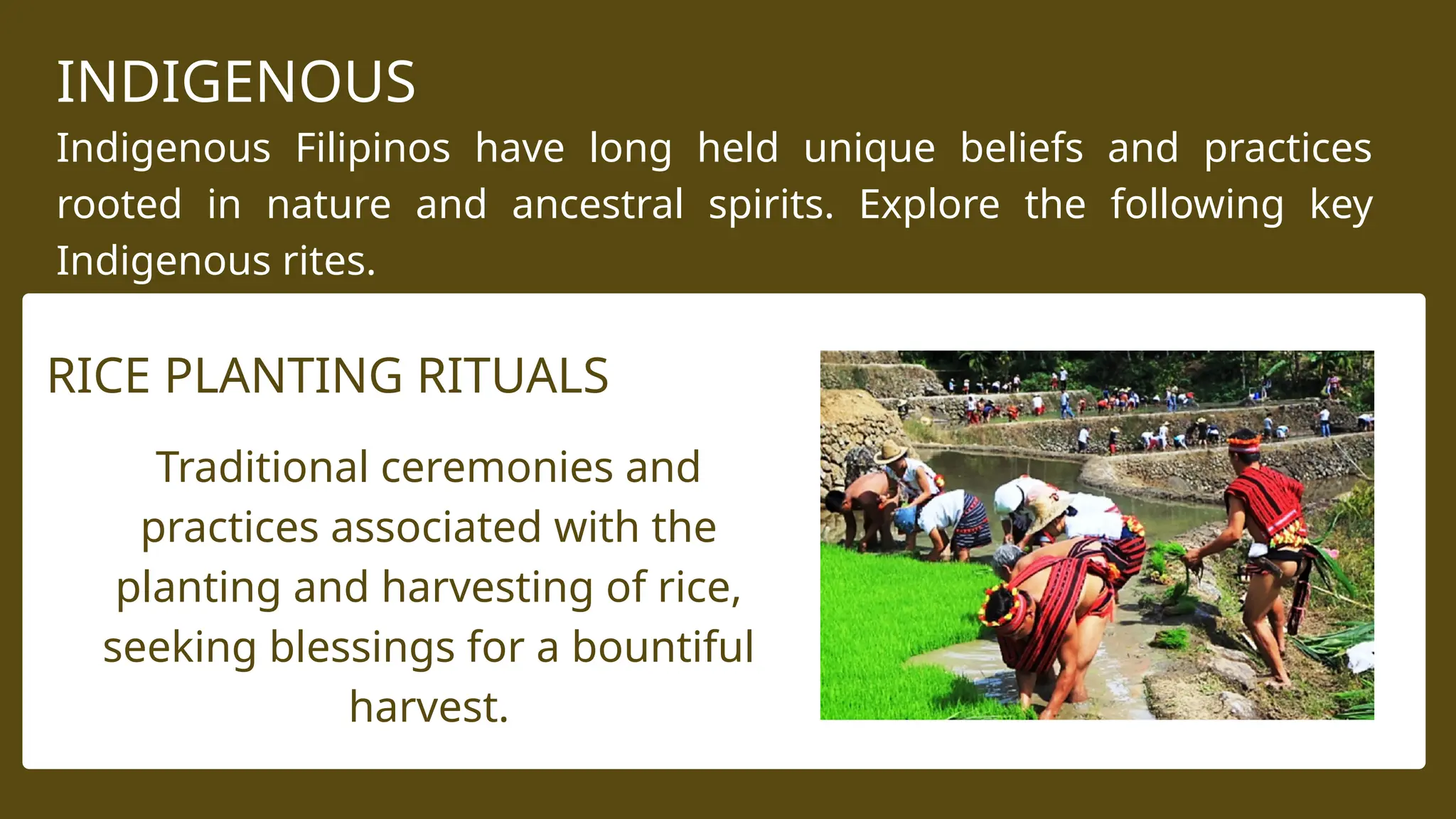 Cultural Performance and Indigenous Practices, and Religious Rites and ...