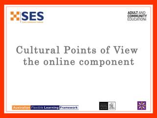 Cultural Points of View  the online component 