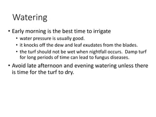 Watering
• Early morning is the best time to irrigate
• water pressure is usually good.
• it knocks off the dew and leaf exudates from the blades.
• the turf should not be wet when nightfall occurs. Damp turf
for long periods of time can lead to fungus diseases.
• Avoid late afternoon and evening watering unless there
is time for the turf to dry.
 