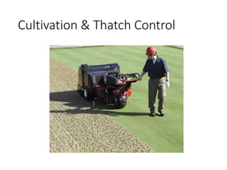 Cultivation & Thatch Control
 