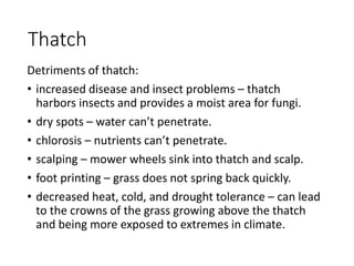 Thatch
Detriments of thatch:
• increased disease and insect problems – thatch
harbors insects and provides a moist area for fungi.
• dry spots – water can’t penetrate.
• chlorosis – nutrients can’t penetrate.
• scalping – mower wheels sink into thatch and scalp.
• foot printing – grass does not spring back quickly.
• decreased heat, cold, and drought tolerance – can lead
to the crowns of the grass growing above the thatch
and being more exposed to extremes in climate.
 
