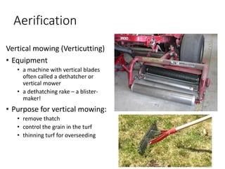Aerification
Vertical mowing (Verticutting)
• Equipment
• a machine with vertical blades
often called a dethatcher or
vertical mower
• a dethatching rake – a blister-
maker!
• Purpose for vertical mowing:
• remove thatch
• control the grain in the turf
• thinning turf for overseeding
 