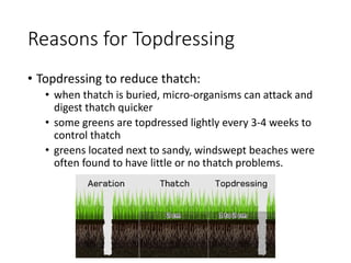 Reasons for Topdressing
• Topdressing to reduce thatch:
• when thatch is buried, micro-organisms can attack and
digest thatch quicker
• some greens are topdressed lightly every 3-4 weeks to
control thatch
• greens located next to sandy, windswept beaches were
often found to have little or no thatch problems.
 