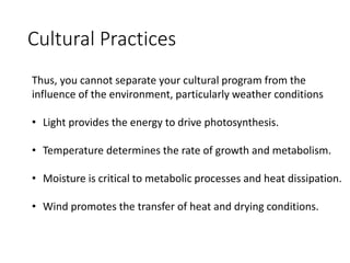 Cultural Practices
Thus, you cannot separate your cultural program from the
influence of the environment, particularly weather conditions
• Light provides the energy to drive photosynthesis.
• Temperature determines the rate of growth and metabolism.
• Moisture is critical to metabolic processes and heat dissipation.
• Wind promotes the transfer of heat and drying conditions.
 