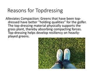 Reasons for Topdressing
Alleviates Compaction: Greens that have been top-
dressed have better "holding qualities“ for the golfer.
The top-dressing material physically supports the
grass plant, thereby absorbing compacting forces.
Top-dressing helps develop resiliency on heavily-
played greens.
 