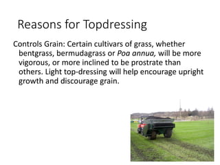 Reasons for Topdressing
Controls Grain: Certain cultivars of grass, whether
bentgrass, bermudagrass or Poa annua, will be more
vigorous, or more inclined to be prostrate than
others. Light top-dressing will help encourage upright
growth and discourage grain.
 