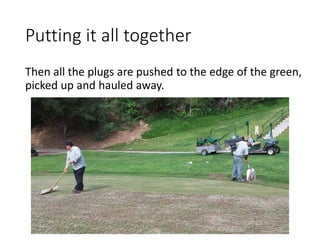 Putting it all together
Then all the plugs are pushed to the edge of the green,
picked up and hauled away.
 