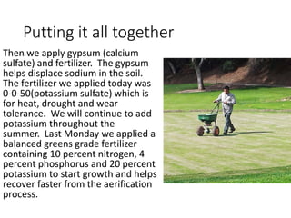 Putting it all together
Then we apply gypsum (calcium
sulfate) and fertilizer. The gypsum
helps displace sodium in the soil.
The fertilizer we applied today was
0-0-50(potassium sulfate) which is
for heat, drought and wear
tolerance. We will continue to add
potassium throughout the
summer. Last Monday we applied a
balanced greens grade fertilizer
containing 10 percent nitrogen, 4
percent phosphorus and 20 percent
potassium to start growth and helps
recover faster from the aerification
process.
 