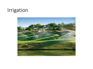 Irrigation
 