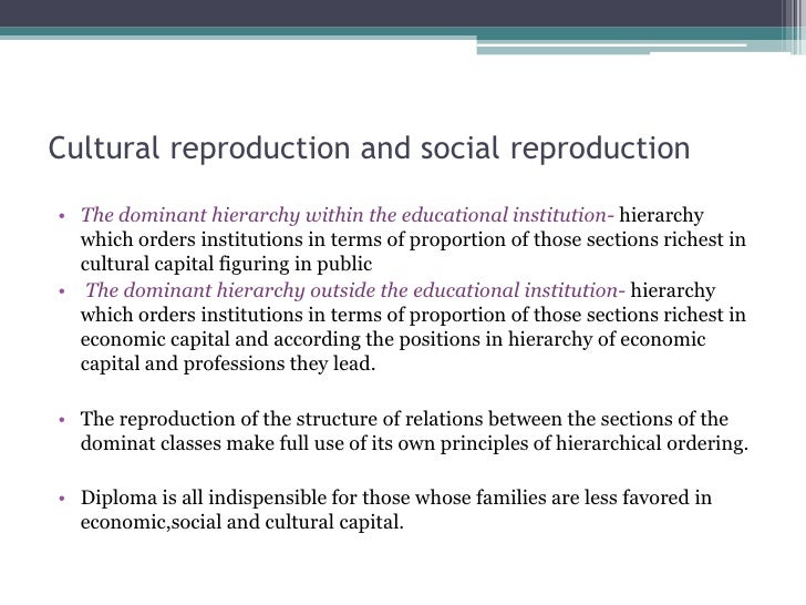 Cultural Reproduction and Social Reproduction