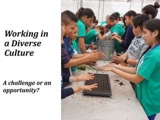 Working in
a Diverse
Culture
A challenge or an
opportunity?
 