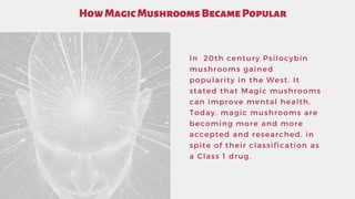HowMagicMushroomsBecamePopular
In 20th century Psilocybin
mushrooms gained
popularity in the West. It
stated that Magic mu...
