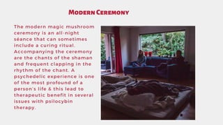 ModernCeremony
The modern magic mushroom
ceremony is an all-night
séance that can sometimes
include a curing ritual.
Accom...