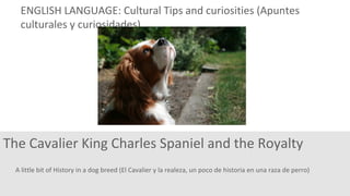 A little bit of History in a dog breed (El Cavalier y la realeza, un poco de historia en una raza de perro)
The Cavalier King Charles Spaniel and the Royalty
ENGLISH LANGUAGE: Cultural Tips and curiosities (Apuntes
culturales y curiosidades)
 