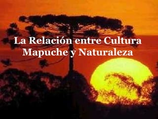 La Relación entre Cultura Mapuche y Naturaleza 