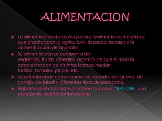  La alimentación de los mayas era realmente completa ya
que practicaban la agricultura, la pesca, la caza y la
domesticación de animales.
 Su alimentación se componía de
vegetales, frutas, cereales, además de que el maíz lo
aprovechaban de distintas formas: hacían
tortillas, tamales, pinole, etc.
 Acostumbraban comer carne de venado, de iguana, de
conejo, de jabalí y diferentes tipos de pescados.
 Elaboraron el chocolate, también tomaban “BALCHE” una
especie de bebida embriagante.
 