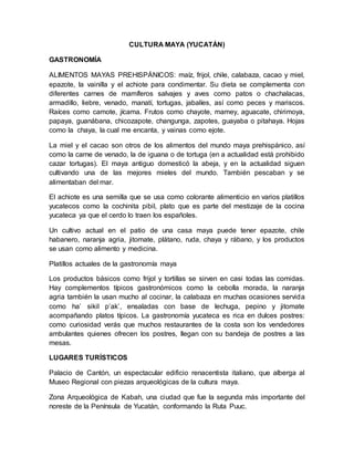 CULTURA MAYA (YUCATÁN)
GASTRONOMÍA
ALIMENTOS MAYAS PREHISPÁNICOS: maíz, frijol, chile, calabaza, cacao y miel,
epazote, la vainilla y el achiote para condimentar. Su dieta se complementa con
diferentes carnes de mamíferos salvajes y aves como patos o chachalacas,
armadillo, liebre, venado, manatí, tortugas, jabalíes, así como peces y mariscos.
Raíces como camote, jícama. Frutos como chayote, mamey, aguacate, chirimoya,
papaya, guanábana, chicozapote, changunga, zapotes, guayaba o pitahaya. Hojas
como la chaya, la cual me encanta, y vainas como ejote.
La miel y el cacao son otros de los alimentos del mundo maya prehispánico, así
como la carne de venado, la de iguana o de tortuga (en a actualidad está prohibido
cazar tortugas). El maya antiguo domesticó la abeja, y en la actualidad siguen
cultivando una de las mejores mieles del mundo. También pescaban y se
alimentaban del mar.
El achiote es una semilla que se usa como colorante alimenticio en varios platillos
yucatecos como la cochinita pibil, plato que es parte del mestizaje de la cocina
yucateca ya que el cerdo lo traen los españoles.
Un cultivo actual en el patio de una casa maya puede tener epazote, chile
habanero, naranja agria, jitomate, plátano, ruda, chaya y rábano, y los productos
se usan como alimento y medicina.
Platillos actuales de la gastronomía maya
Los productos básicos como frijol y tortillas se sirven en casi todas las comidas.
Hay complementos típicos gastronómicos como la cebolla morada, la naranja
agria también la usan mucho al cocinar, la calabaza en muchas ocasiones servida
como ha’ sikil p’ak’, ensaladas con base de lechuga, pepino y jitomate
acompañando platos típicos. La gastronomía yucateca es rica en dulces postres:
como curiosidad verás que muchos restaurantes de la costa son los vendedores
ambulantes quienes ofrecen los postres, llegan con su bandeja de postres a las
mesas.
LUGARES TURÍSTICOS
Palacio de Cantón, un espectacular edificio renacentista italiano, que alberga al
Museo Regional con piezas arqueológicas de la cultura maya.
Zona Arqueológica de Kabah, una ciudad que fue la segunda más importante del
noreste de la Península de Yucatán, conformando la Ruta Puuc.
 