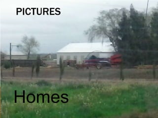 PICTURES 
Homes 
 