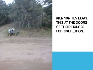 MENNONITES LEAVE 
THIS AT THE DOORS 
OF THEIR HOUSES 
FOR COLLECTION. 
 