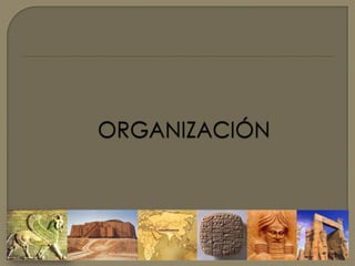ORGANIZACIÓN
