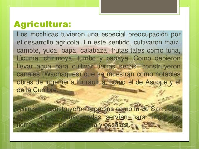 Cultura moche (1)