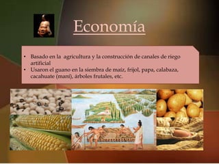 Economía
                       
• Basado en la agricultura y la construcción de canales de riego
  artificial
• Usaron el guano en la siembra de maíz, frijol, papa, calabaza,
  cacahuate (maní), árboles frutales, etc.
 