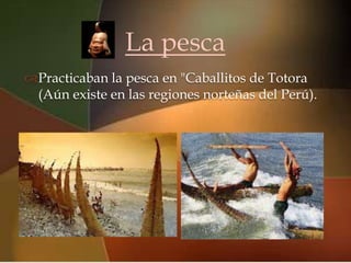 La pesca
                      
Practicaban la pesca en "Caballitos de Totora
  (Aún existe en las regiones norteñas del Perú).
 